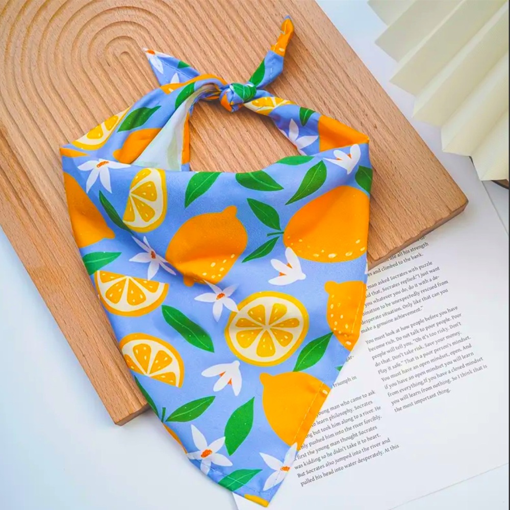 🆕 Lemon and Floral Print Pet Bandana